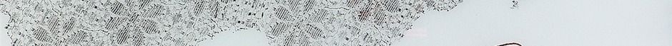 Dsc01120