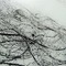 Grafoplet