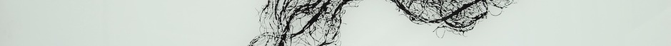 Organicki-preplet-linija-6